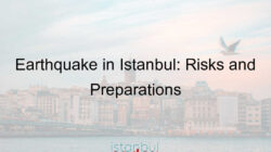 Earthquake in Istanbul: Risks and Preparations