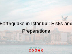 Earthquake in Istanbul: Risks and Preparations