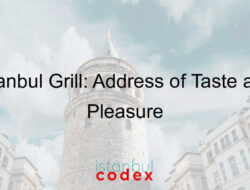 Istanbul Grill: Address of Taste and Pleasure