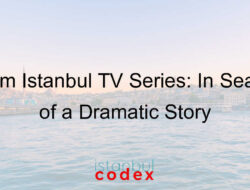 Zalim Istanbul TV Series: In Search of a Dramatic Story